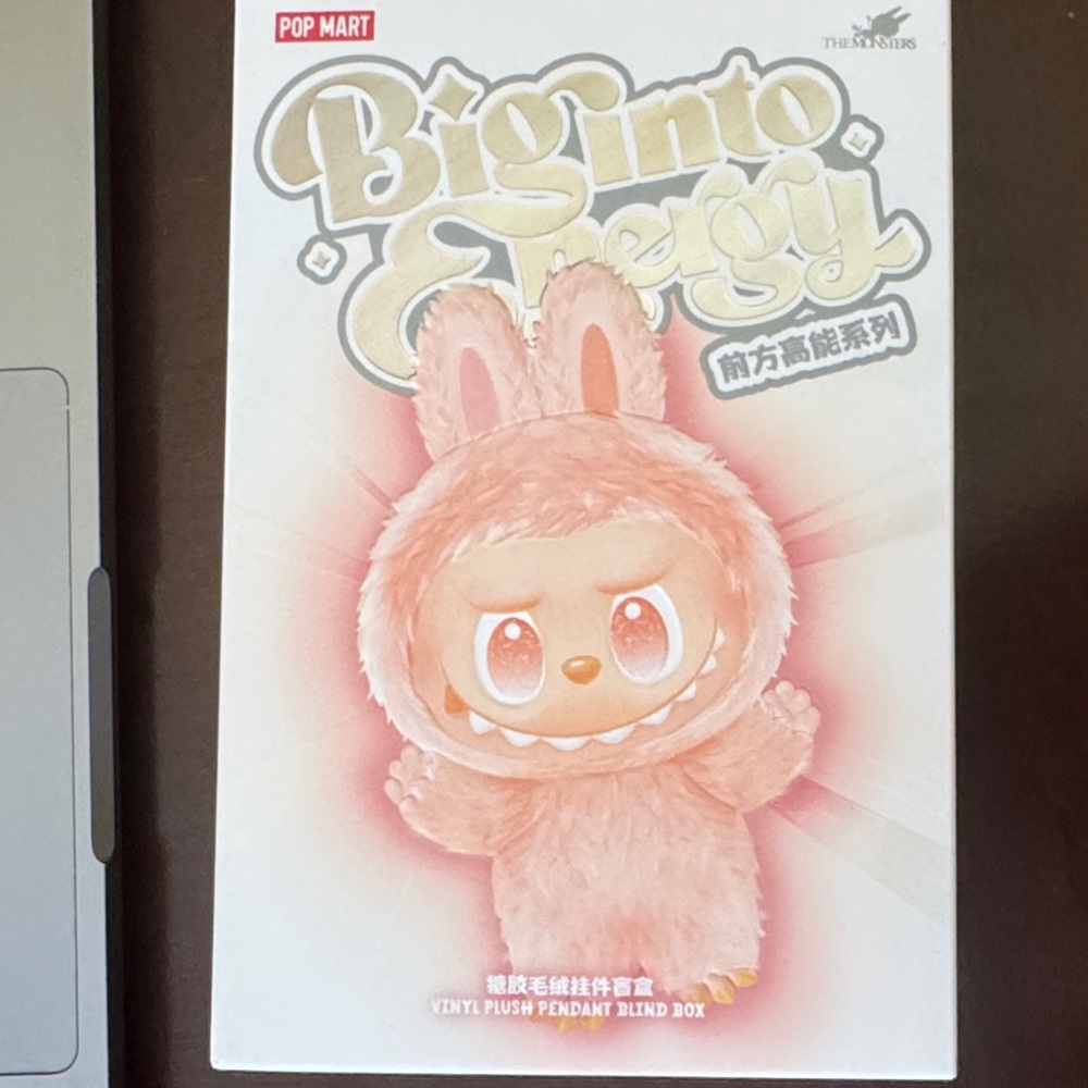 Pop Mart Bigtofu Bunny Figure